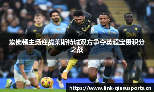 埃佛顿主场迎战莱斯特城双方争夺英超宝贵积分之战